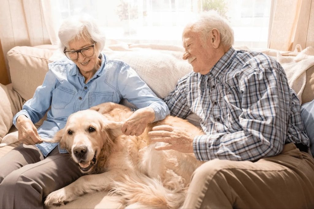 Aging in Place in La Jolla - How to Prepare Your Home for Senior Safety - Prepare Your Home for Senior Safety - image
