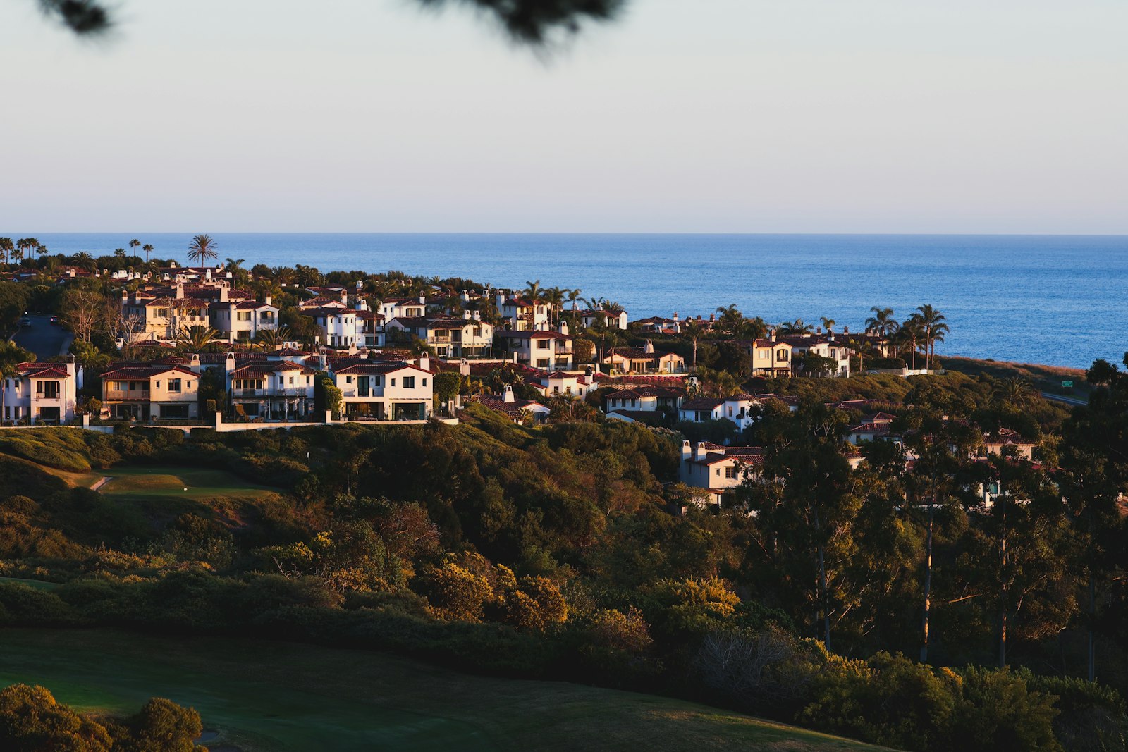 Coastal homes on a hillside overlooking the ocean in La Jolla